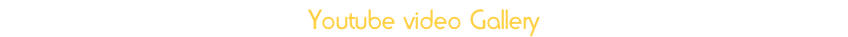 Youtube video Gallery